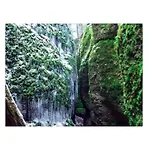 With 1 Bedroom アパート *