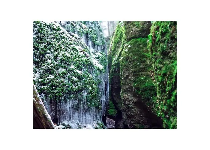 With 1 Bedroom Appartement *